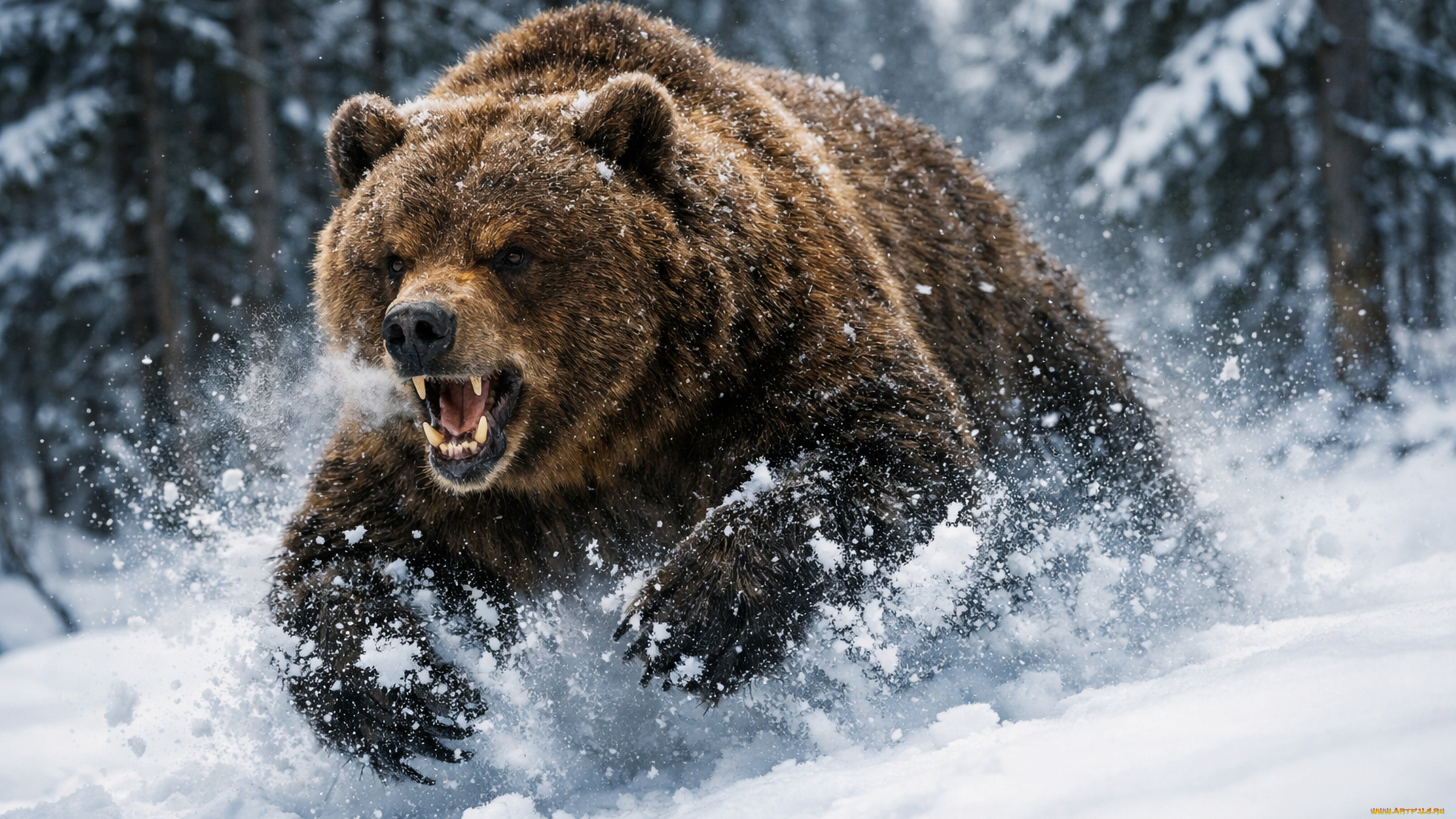 ���������, 3� �������, �������� , animals, ����, ���, ����, �����, ������